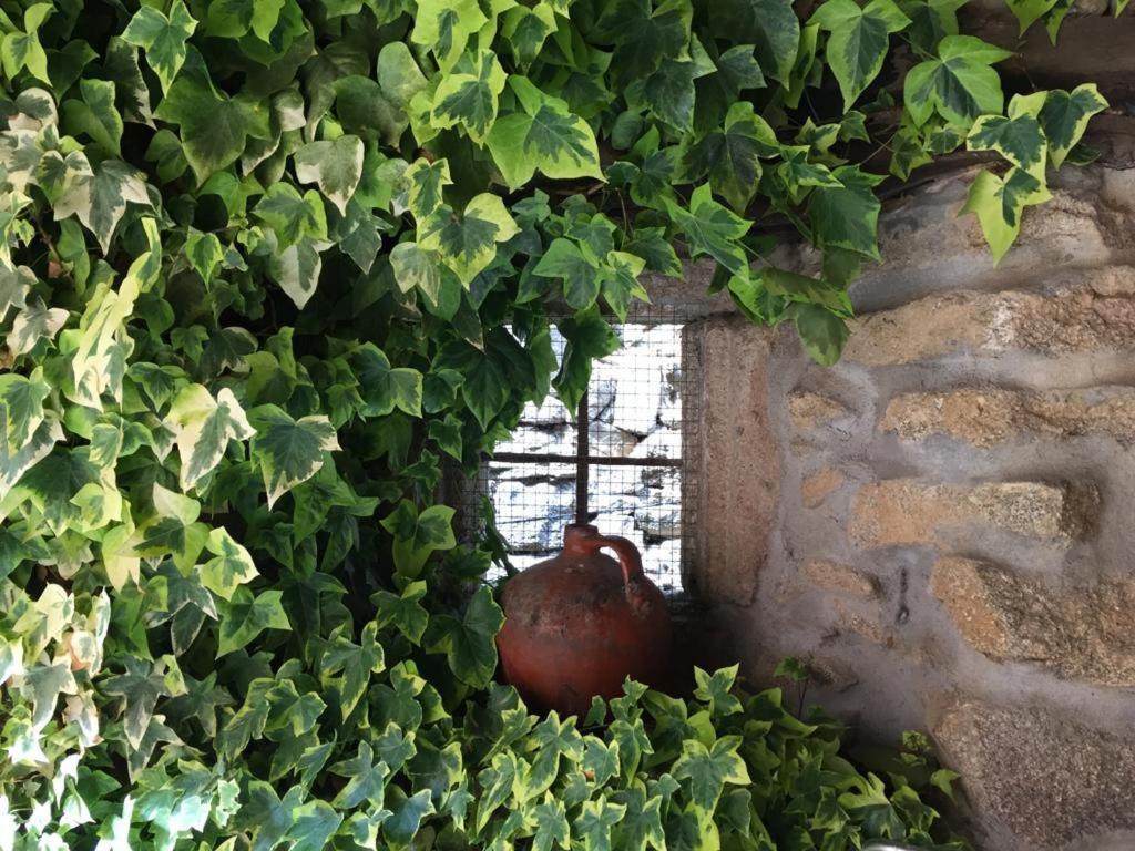 El Capricho De Ana Neila de San Miguel Exterior foto